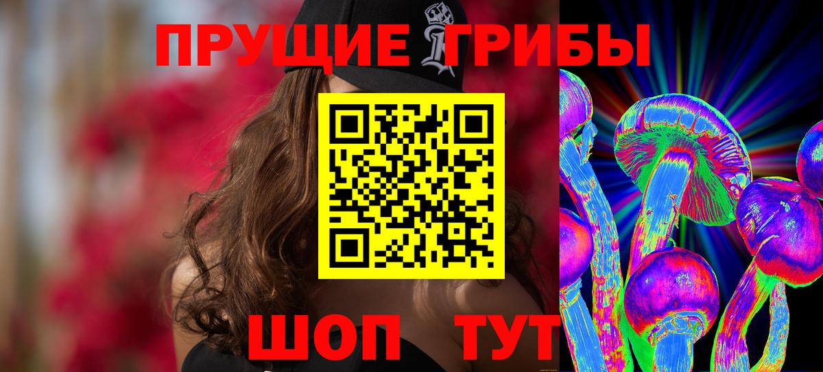 Первоуральск  Галлюциногенные грибы Psilocybe  Вход с VPN  Псилоцибиновые грибы прущие грибы 